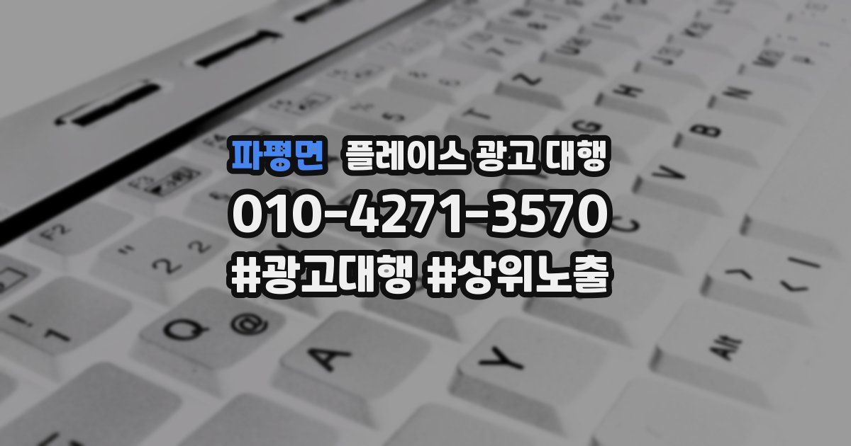 파평면 플레이스 광고 대행
