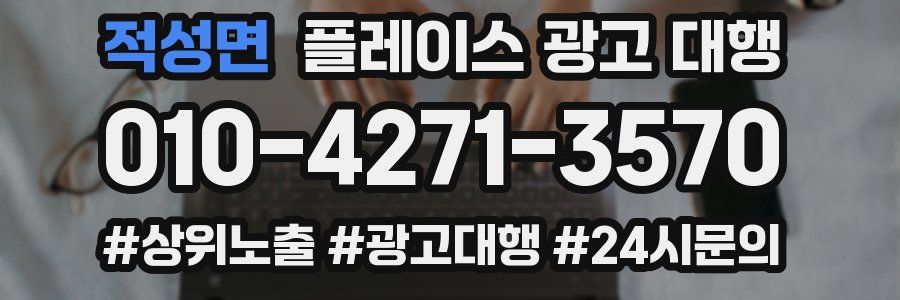 적성면 플레이스 광고 대행