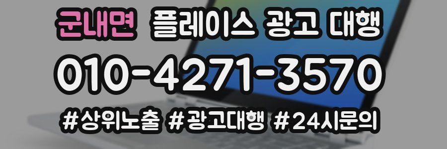 군내면 플레이스 광고 대행