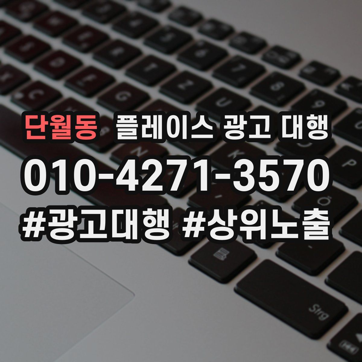 단월동 플레이스 광고 대행