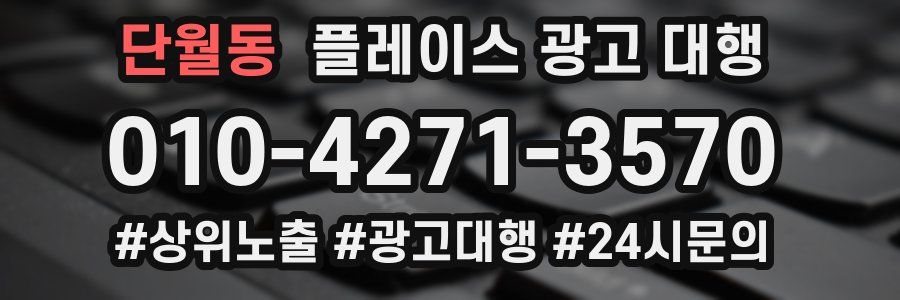 단월동 플레이스 광고 대행