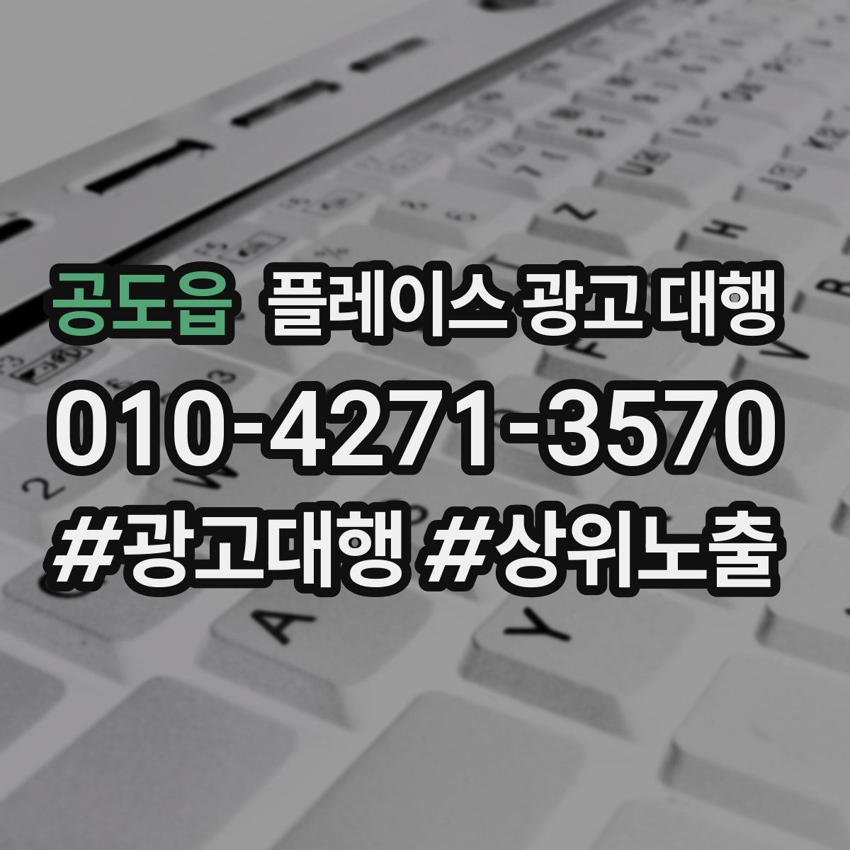 공도읍 플레이스 광고 대행