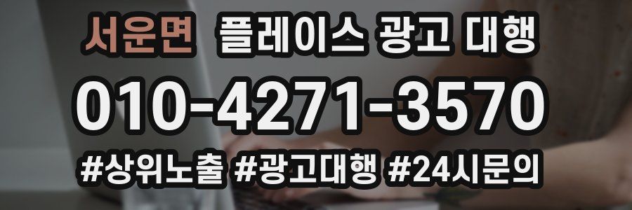 서운면 플레이스 광고 대행