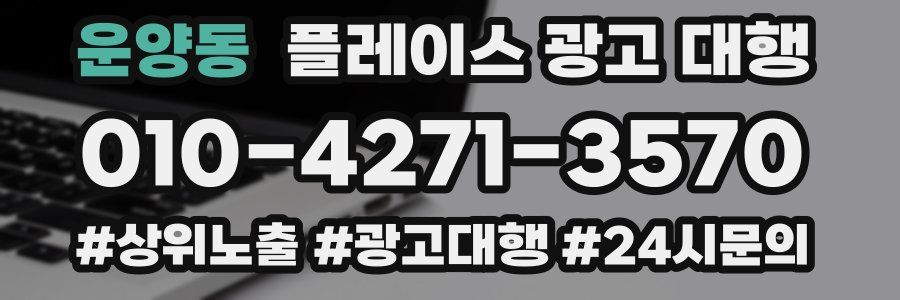 운양동 플레이스 광고 대행