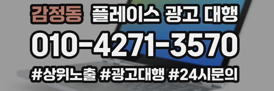 감정동 플레이스 광고 대행
