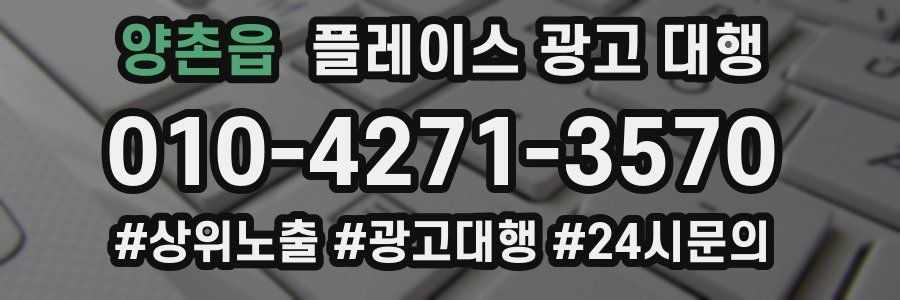 양촌읍 플레이스 광고 대행