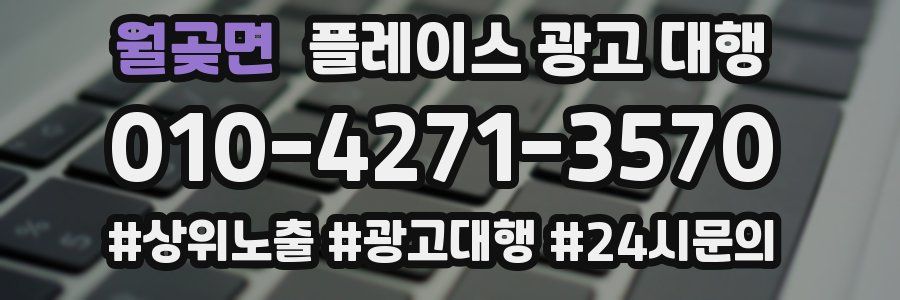 월곶면 플레이스 광고 대행