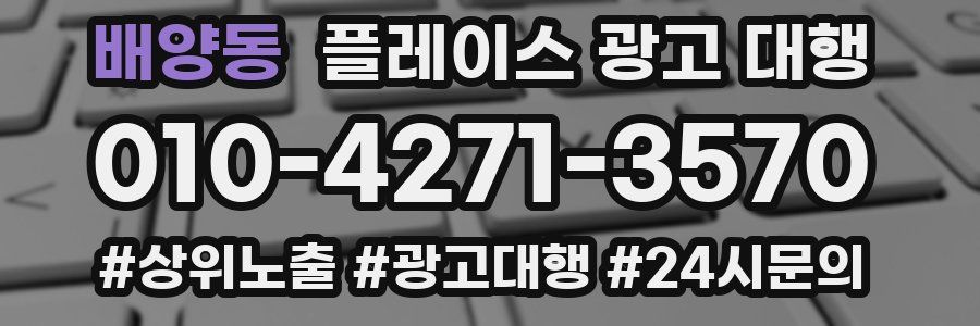 배양동 플레이스 광고 대행