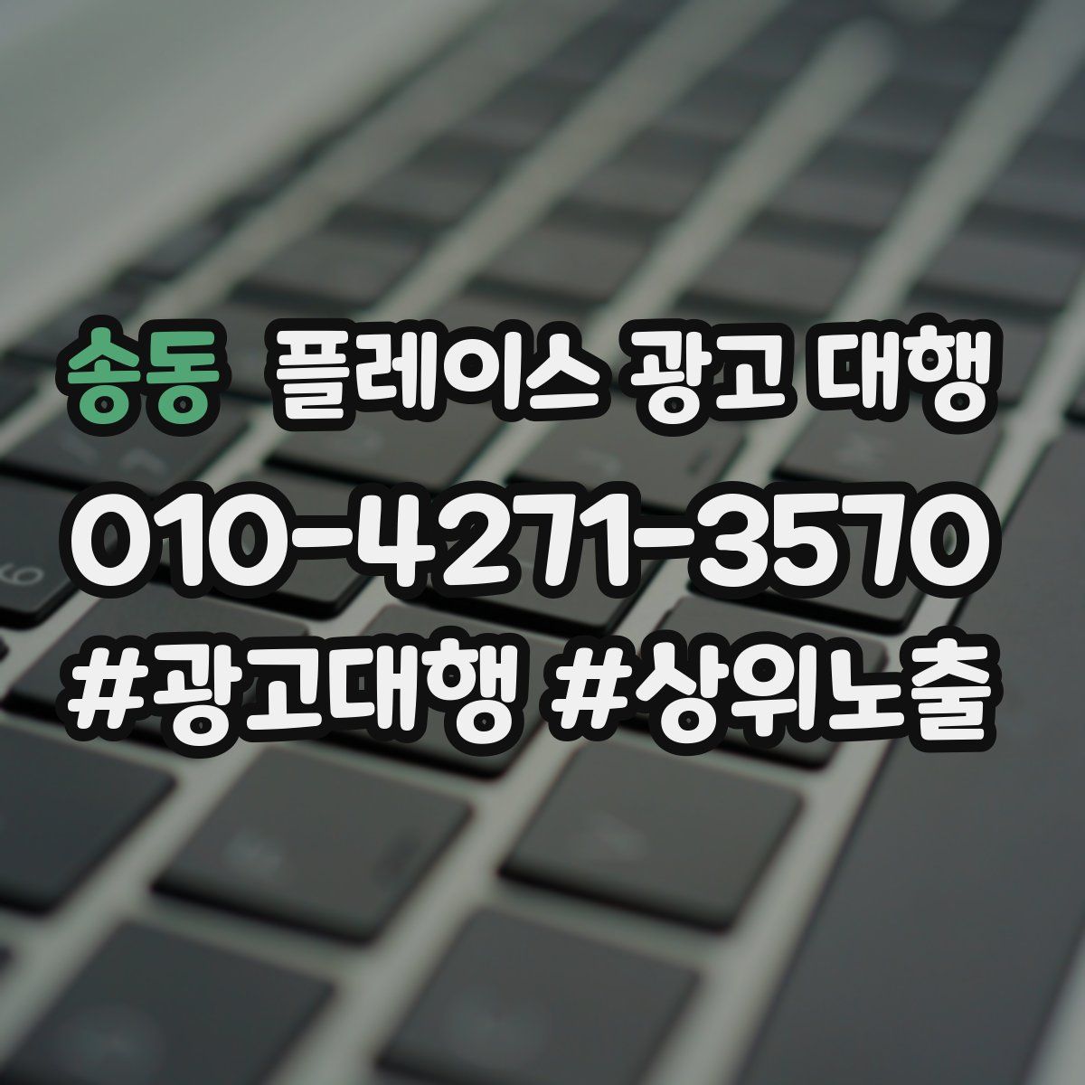 송동 플레이스 광고 대행