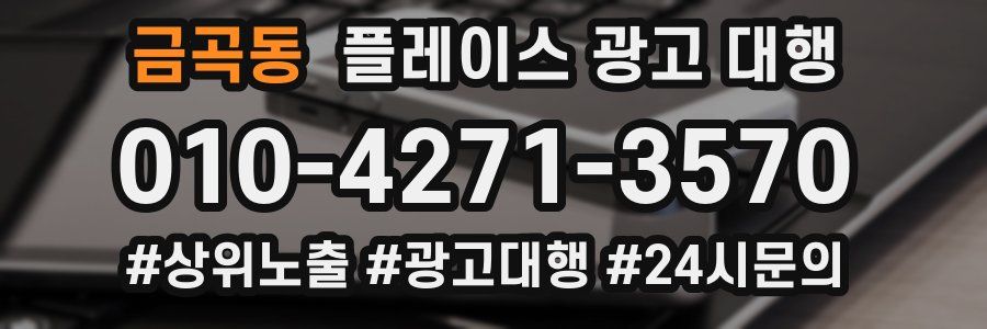 금곡동 플레이스 광고 대행
