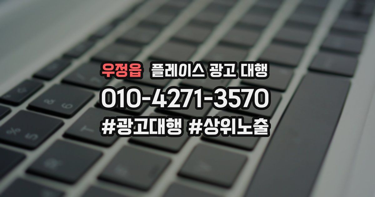 우정읍 플레이스 광고 대행
