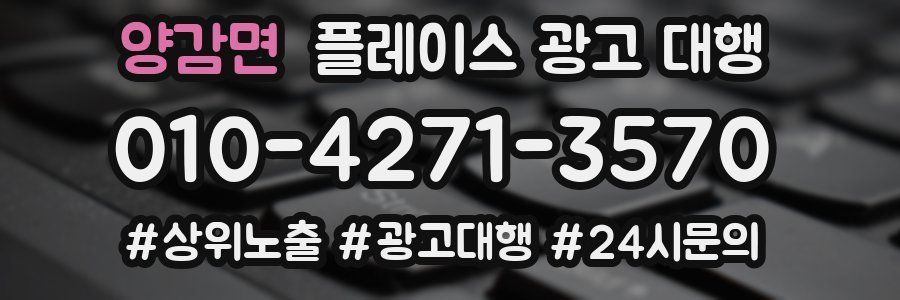 양감면 플레이스 광고 대행