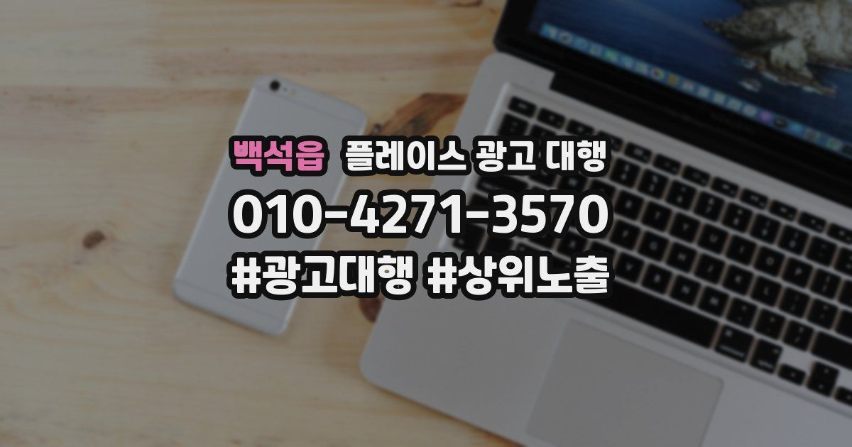 백석읍 플레이스 광고 대행