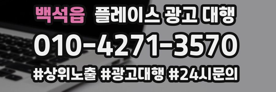 백석읍 플레이스 광고 대행