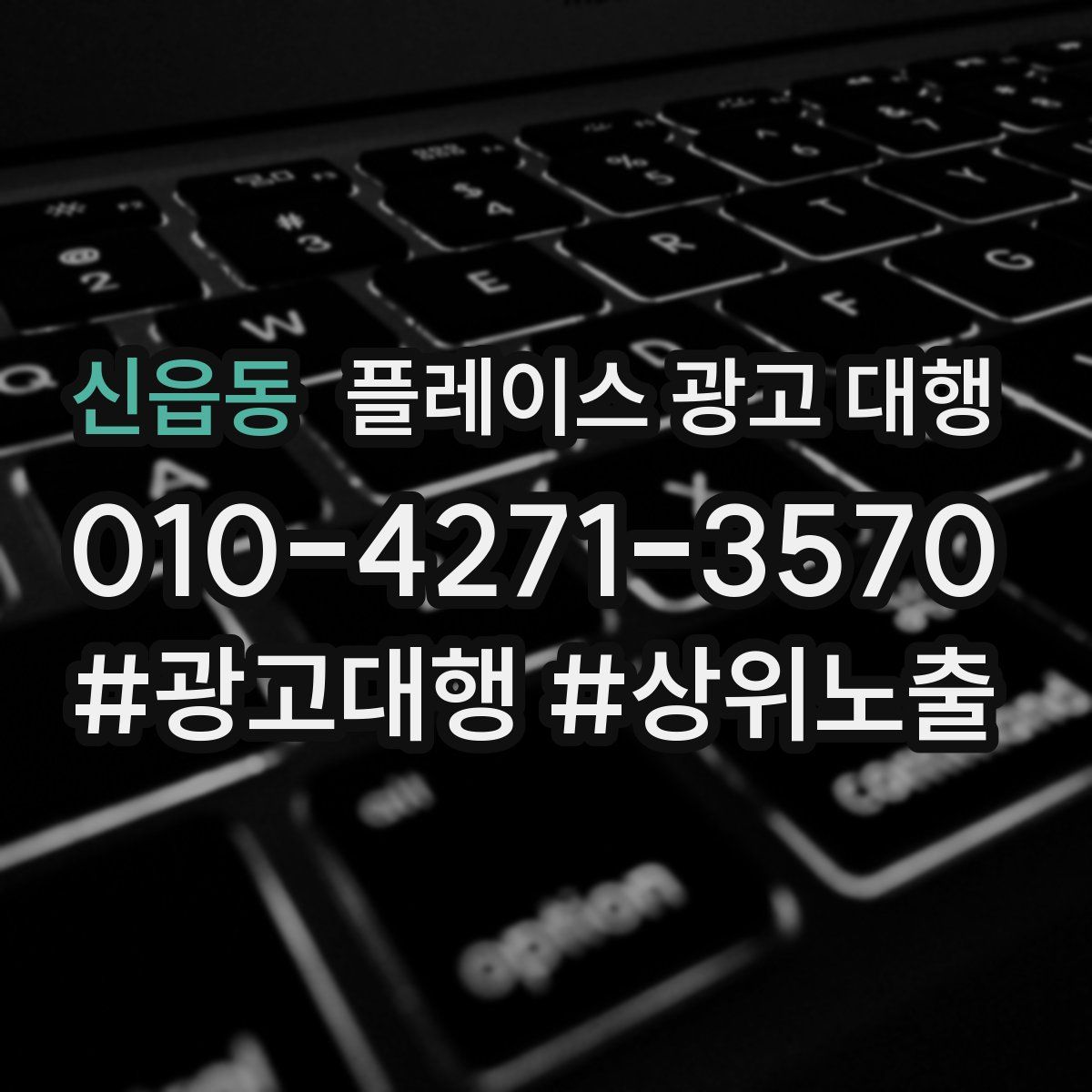 신읍동 플레이스 광고 대행