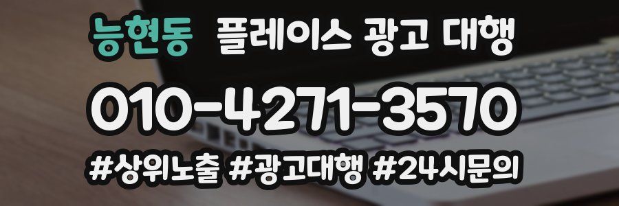 능현동 플레이스 광고 대행