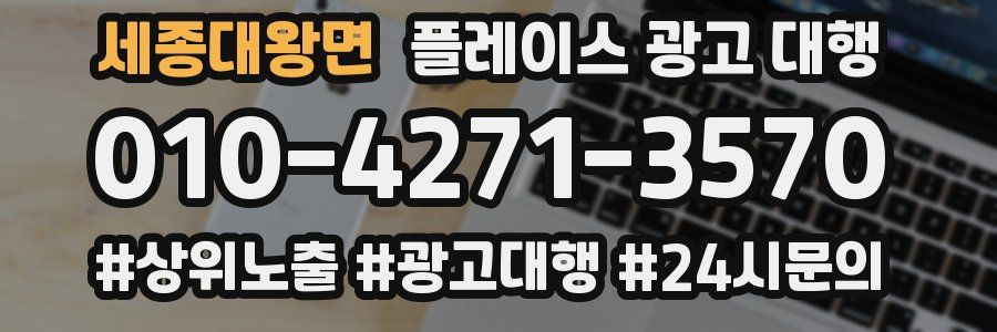 세종대왕면 플레이스 광고 대행