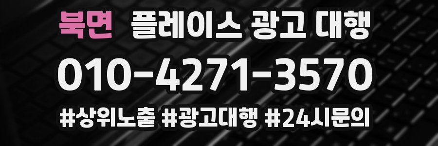 북면 플레이스 광고 대행