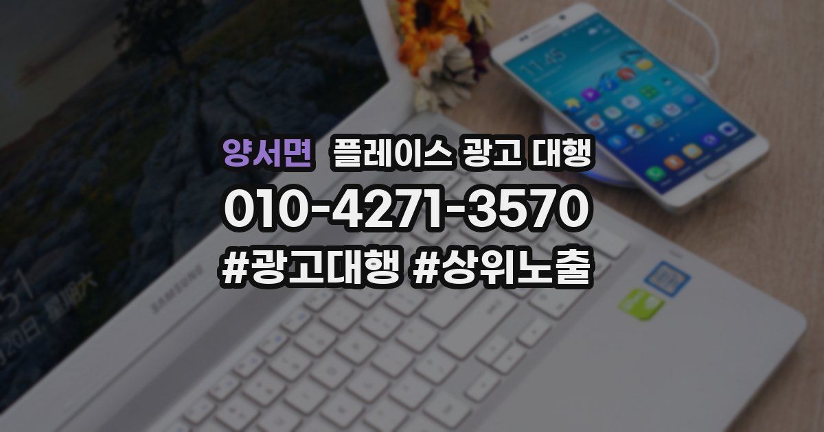 양서면 플레이스 광고 대행