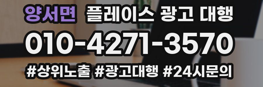 양서면 플레이스 광고 대행