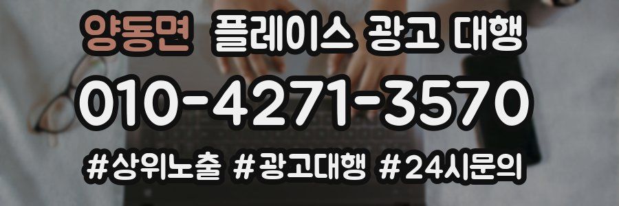 양동면 플레이스 광고 대행