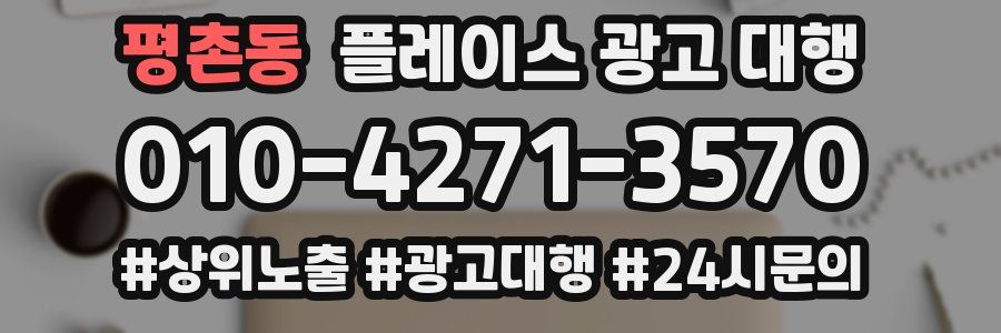 평촌동 플레이스 광고 대행