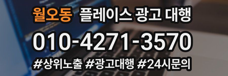 월오동 플레이스 광고 대행