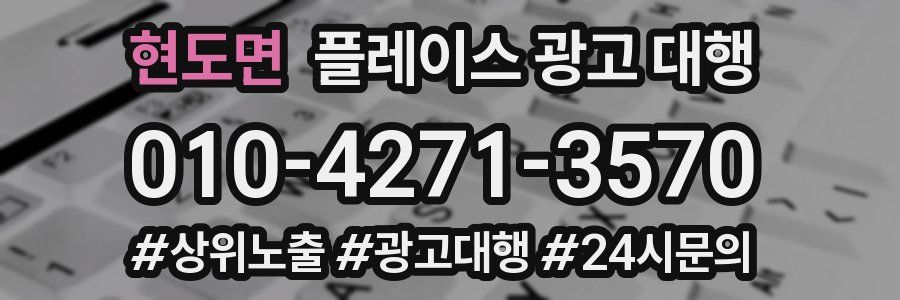 현도면 플레이스 광고 대행