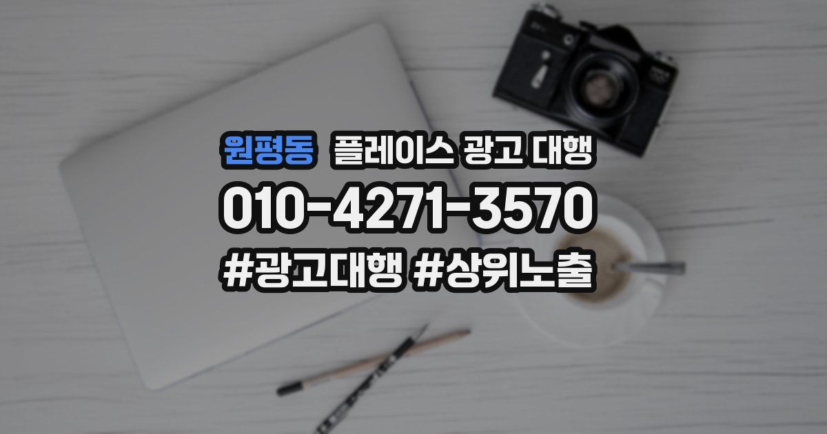 원평동 플레이스 광고 대행