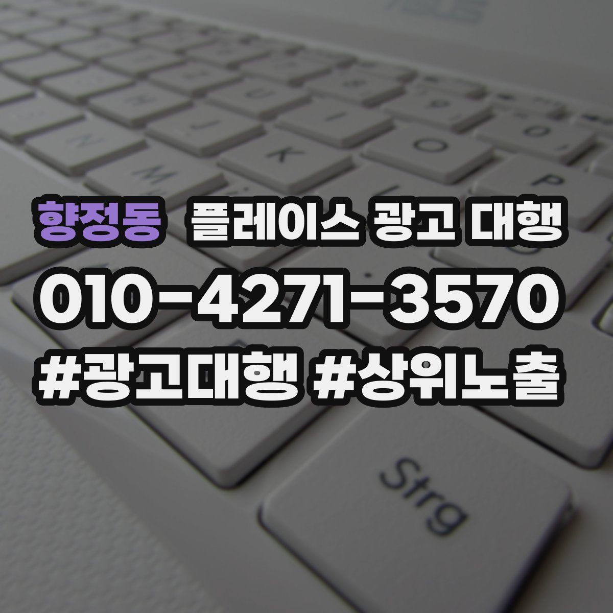 향정동 플레이스 광고 대행