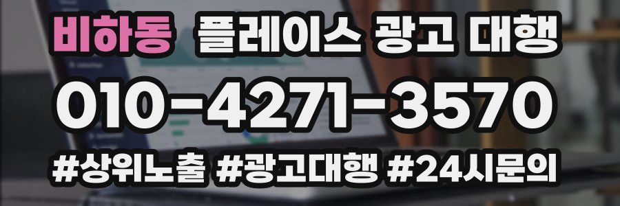 비하동 플레이스 광고 대행