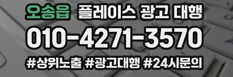 오송읍 플레이스 광고 대행
