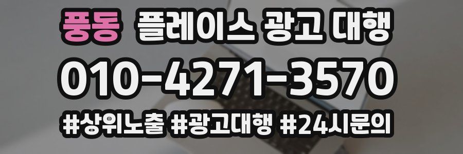 풍동 플레이스 광고 대행