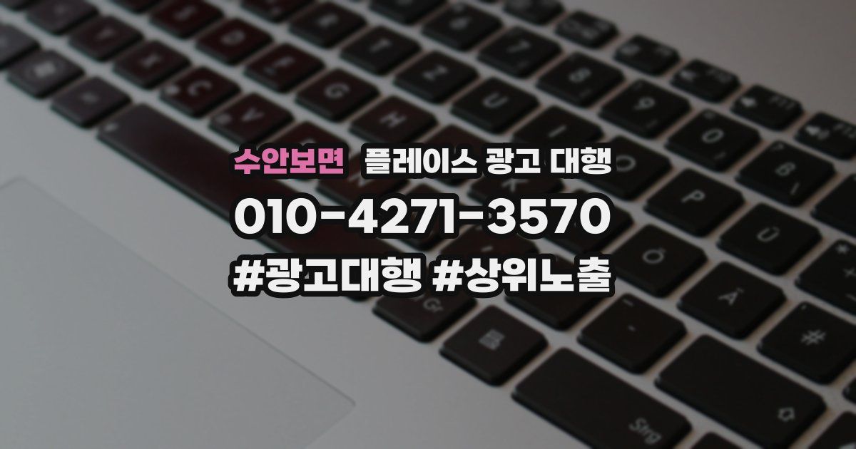 수안보면 플레이스 광고 대행