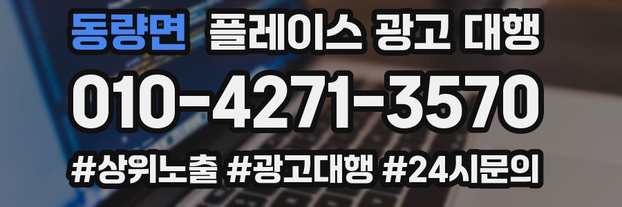동량면 플레이스 광고 대행