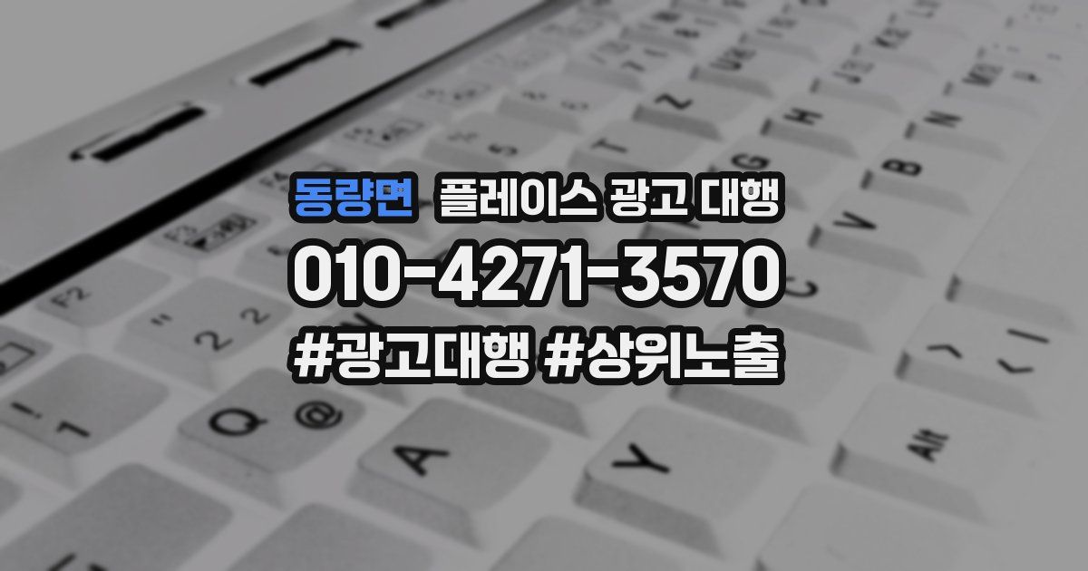 동량면 플레이스 광고 대행