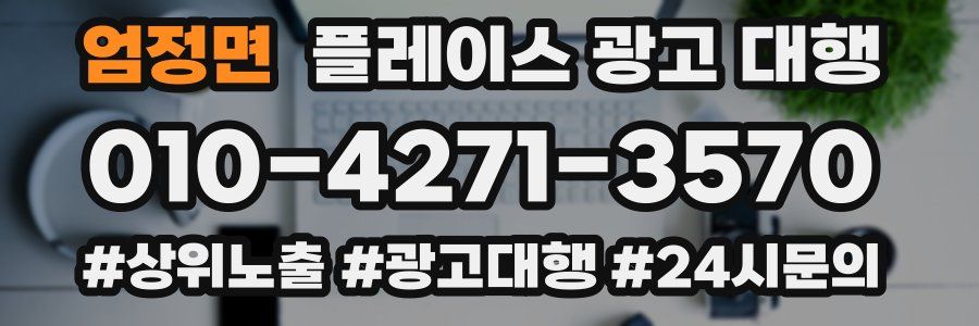 엄정면 플레이스 광고 대행