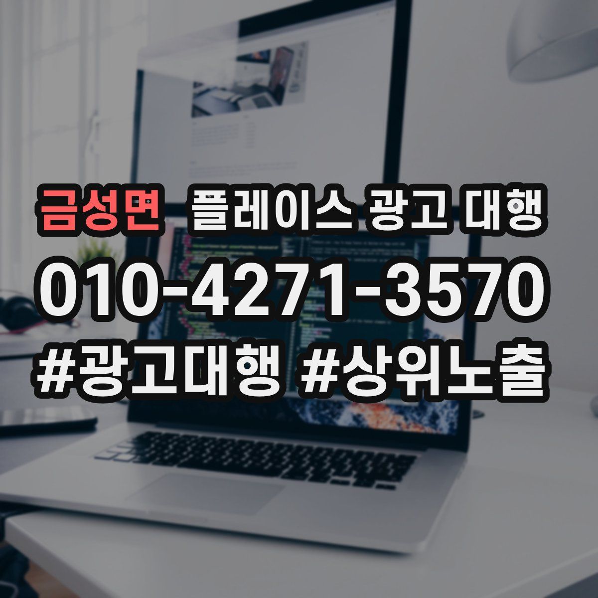 금성면 플레이스 광고 대행
