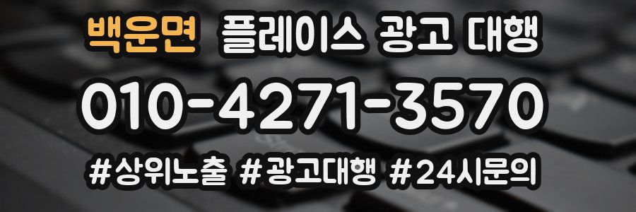 백운면 플레이스 광고 대행