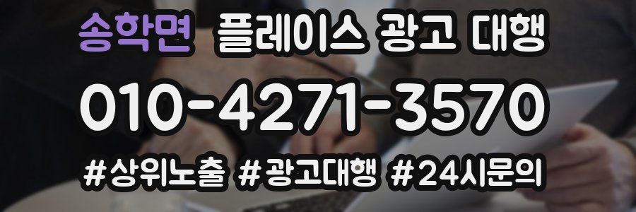 송학면 플레이스 광고 대행
