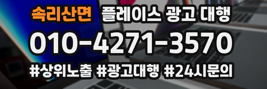 속리산면 플레이스 광고 대행