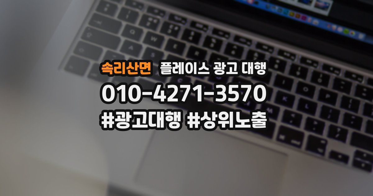 속리산면 플레이스 광고 대행