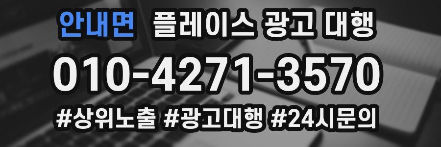 안내면 플레이스 광고 대행