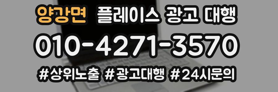 양강면 플레이스 광고 대행