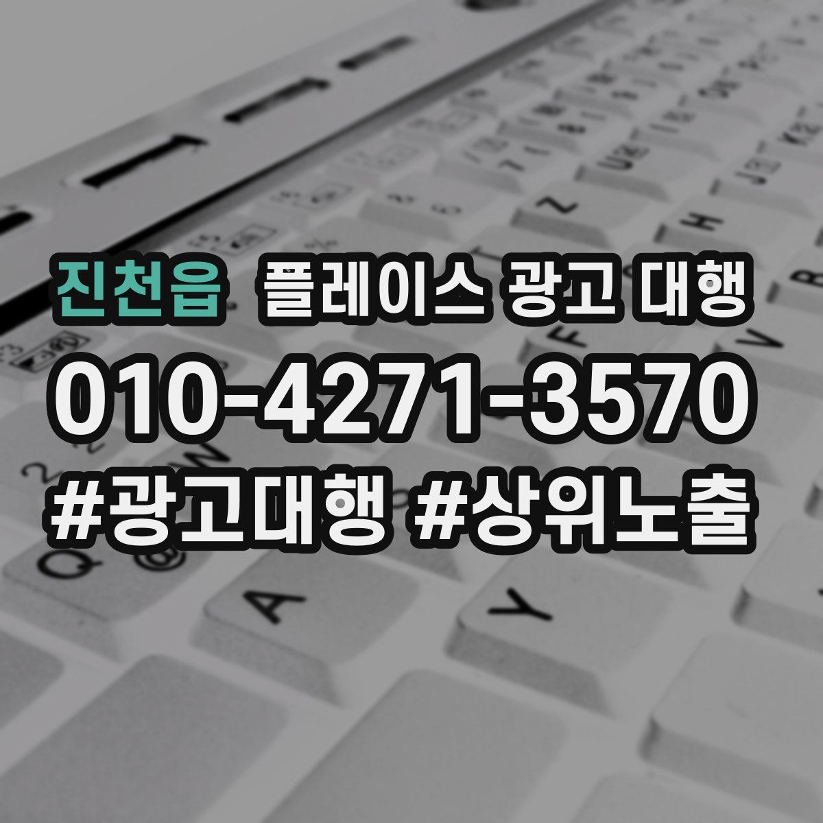진천읍 플레이스 광고 대행