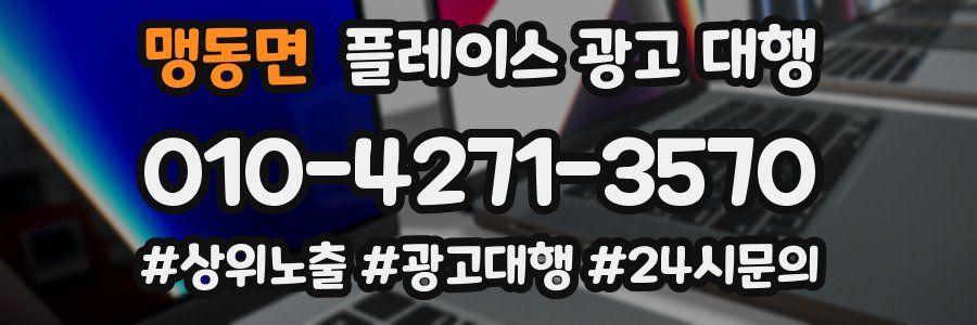 맹동면 플레이스 광고 대행