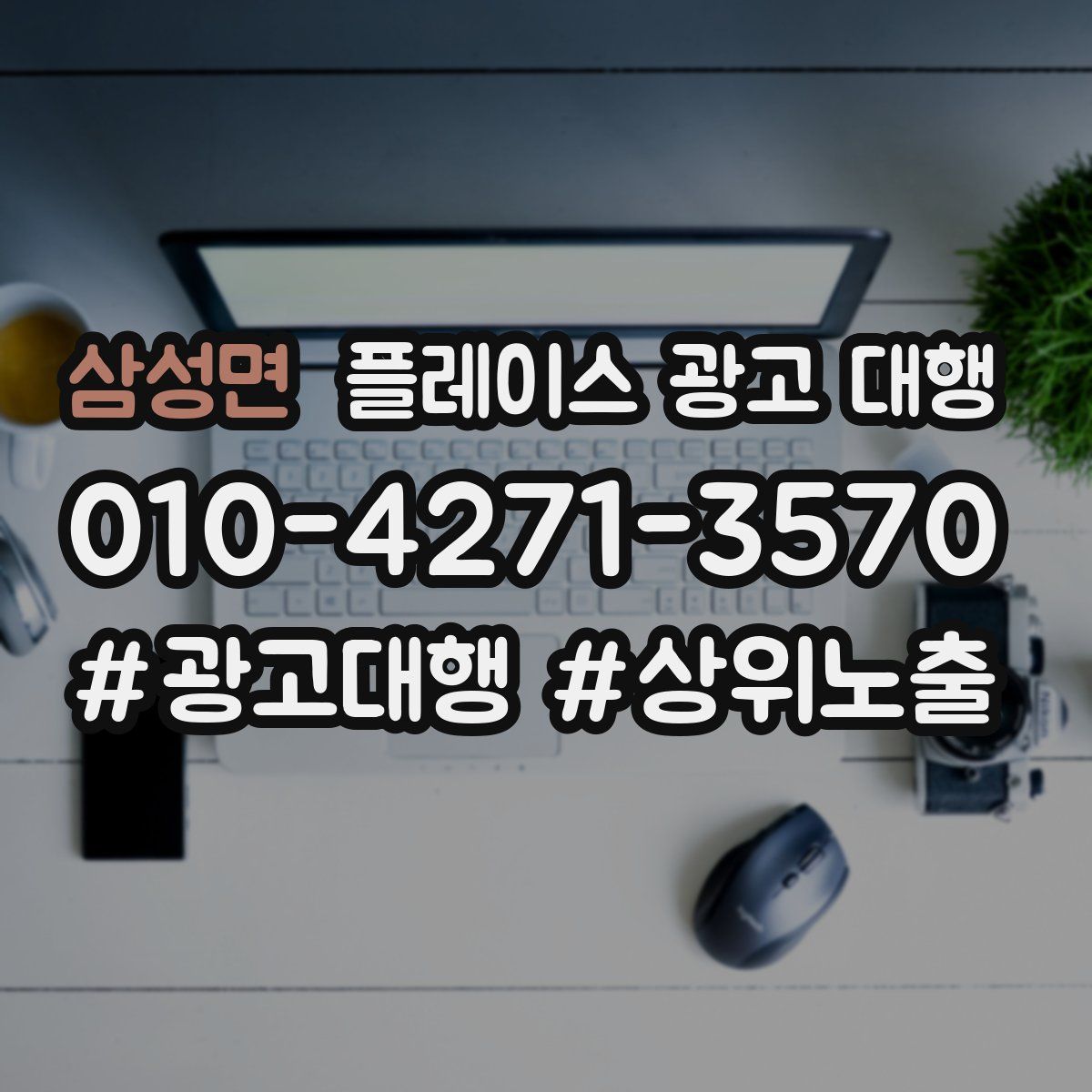 삼성면 플레이스 광고 대행
