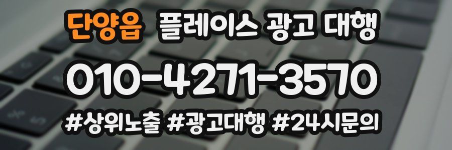 단양읍 플레이스 광고 대행