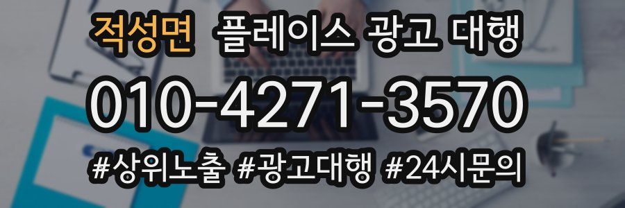 적성면 플레이스 광고 대행