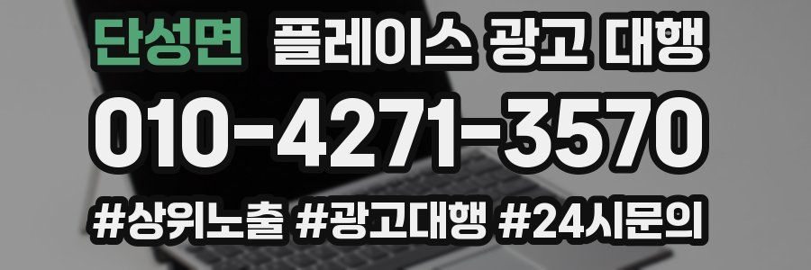 단성면 플레이스 광고 대행